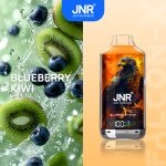 JNR Falcon-X 18000 Puffs Blueberry Kiwi Disposable Vape (24ml, Rechargeable) – Sweet Berry Meets Tangy Kiwi