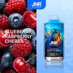 JNR Falcon-X 18000 Puffs Blueberry Raspberry Cherry Disposable Vape (24ml, Rechargeable, Adjustable Airflow)