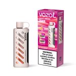 Vozol Gear Shisha 25K Puffs Margarita à la Fraise Vape Jetable 24ml, 5% Nicotine, Double Maille, 1000mAh Type‑C