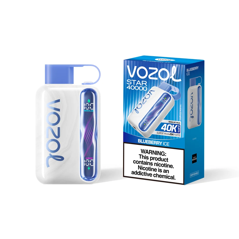 Vozol Star 40000 Puffs Blueberry Ice Disposable Vape 5% Nicotine (20ml, Dual Mesh, OLED Display)