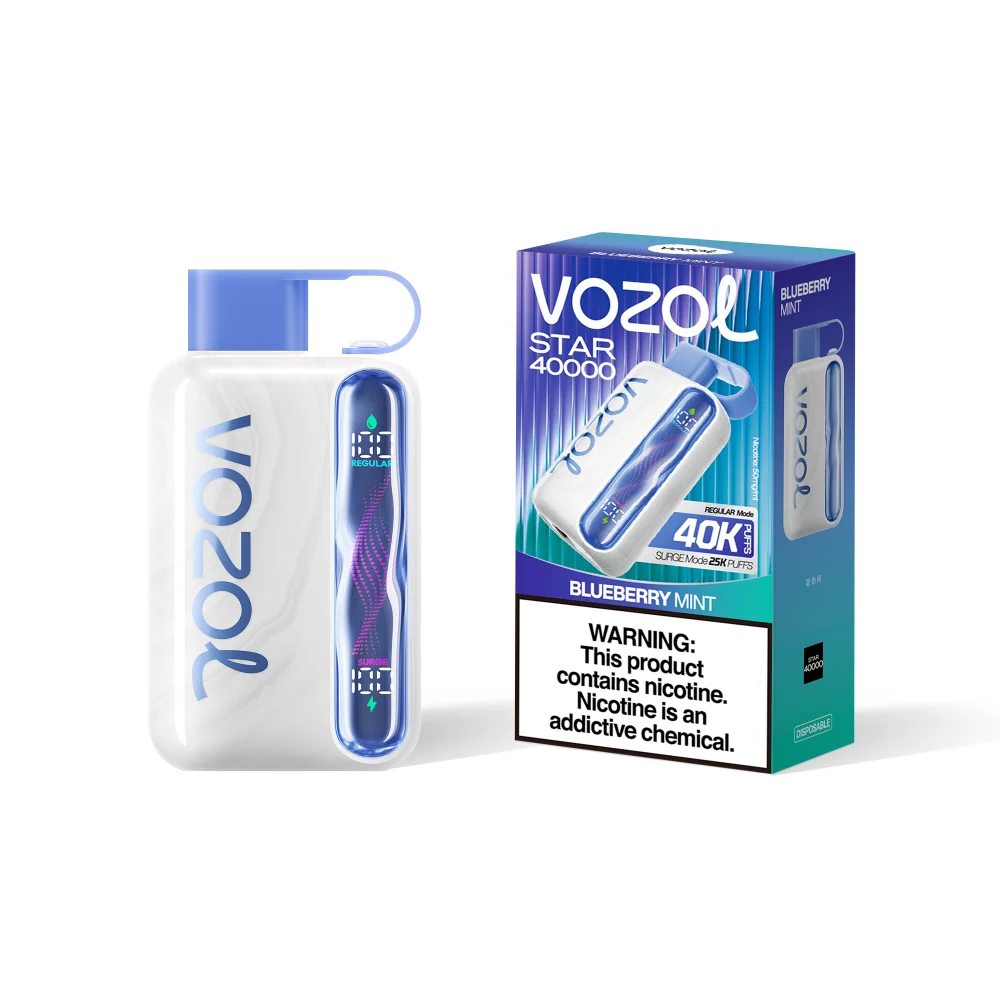 Vozol Star 40000 Puffs-Blueberry Mint